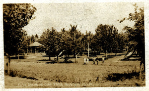 Image of Scene of East City Park. Moscow, Idaho.