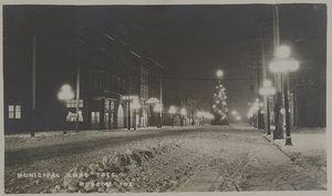 Image of Municipal Christmas tree, Moscow, Idaho.