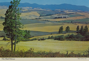 Image of The Plaid Palouse
